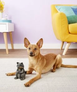 PetSafe Sportsmen Latex Meeze Raccoon Squeaky Dog Toy 6 PetSafe Sportsmen Latex Meeze Raccoon Squeaky Dog Toy -PetSafe Store 121367 PT2. SY630 V1530921369