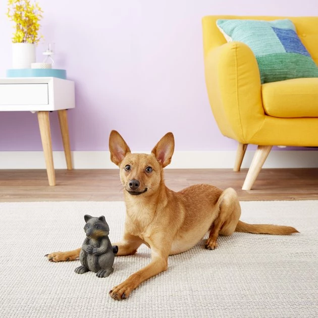 PetSafe Sportsmen Latex Meeze Raccoon Squeaky Dog Toy 3 PetSafe Sportsmen Latex Meeze Raccoon Squeaky Dog Toy - Image 3