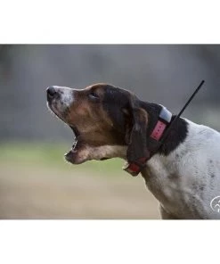 SportDOG TEK 2.0 GPS Tracking & E-Collar System -PetSafe Store 121409 PT5. SY630 V1595985667