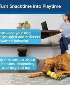 Busy Buddy Peanut Butter & Rawhide Variety Pack Refill Rings Dog Treat, Medium -PetSafe Store 121411 PT2. SY630 V1647460348