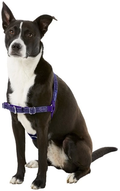 PetSafe Bling Easy Walk Nylon No Pull Dog Harness 3 PetSafe Bling Easy Walk Nylon No Pull Dog Harness - Image 3