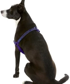 PetSafe Bling Easy Walk Nylon No Pull Dog Harness 9 PetSafe Bling Easy Walk Nylon No Pull Dog Harness -PetSafe Store 121416 PT3. SY630 V1569532643