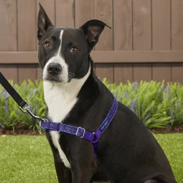 PetSafe Bling Easy Walk Nylon No Pull Dog Harness 5 PetSafe Bling Easy Walk Nylon No Pull Dog Harness - Image 5