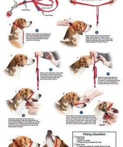 PetSafe Gentle Leader Chic Padded Dog Headcollar & Leash 8 PetSafe Gentle Leader Chic Padded Dog Headcollar & Leash -PetSafe Store 121447 PT3. SY630 V1493242379