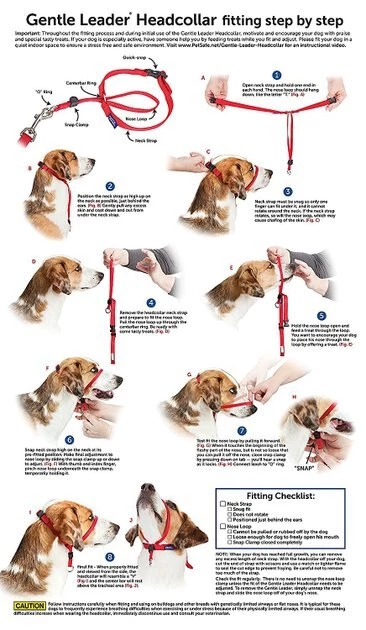 PetSafe Gentle Leader Chic Padded Dog Headcollar & Leash 4 PetSafe Gentle Leader Chic Padded Dog Headcollar & Leash - Image 4