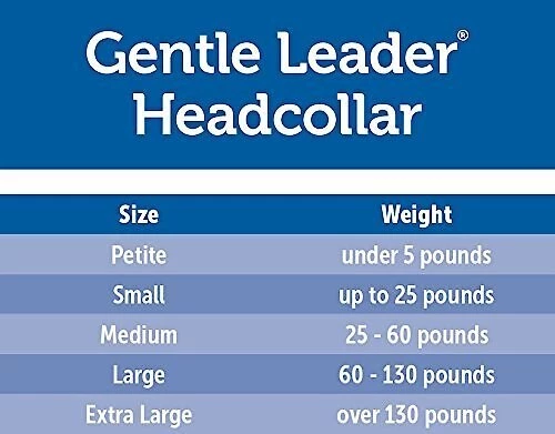 PetSafe Gentle Leader Chic Padded Dog Headcollar & Leash 5 PetSafe Gentle Leader Chic Padded Dog Headcollar & Leash - Image 5
