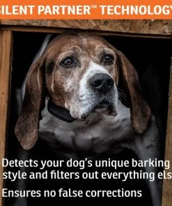 SportDOG NoBark SBC-R Waterproof Rechargeable Dog Bark Collar 9 SportDOG NoBark SBC-R Waterproof Rechargeable Dog Bark Collar -PetSafe Store 131042 PT3. SY630 V1590606176