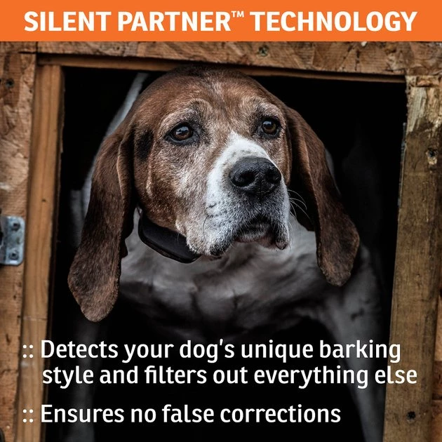 SportDOG NoBark SBC-R Waterproof Rechargeable Dog Bark Collar 4 SportDOG NoBark SBC-R Waterproof Rechargeable Dog Bark Collar - Image 4