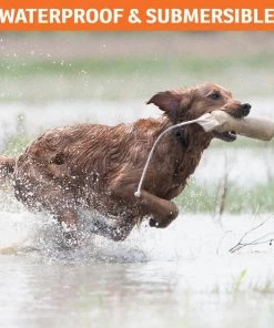 SportDOG NoBark SBC-R Waterproof Rechargeable Dog Bark Collar 10 SportDOG NoBark SBC-R Waterproof Rechargeable Dog Bark Collar -PetSafe Store 131042 PT4. SY630 V1590606172