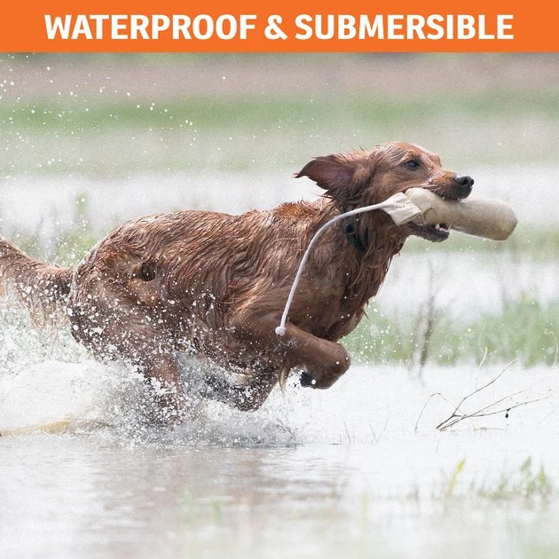 SportDOG NoBark SBC-R Waterproof Rechargeable Dog Bark Collar 5 SportDOG NoBark SBC-R Waterproof Rechargeable Dog Bark Collar - Image 5