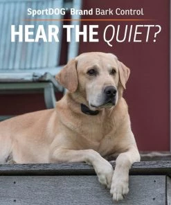 SportDOG NoBark SBC-R Waterproof Rechargeable Dog Bark Collar 11 SportDOG NoBark SBC-R Waterproof Rechargeable Dog Bark Collar -PetSafe Store 131042 PT5. SY630 V1590606187