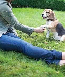 PetSafe Elite Little Dog In-Ground Fence Receiver Dog Collar -PetSafe Store 140640 PT4. SY630 V1523630118