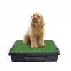 PetSafe Pet Loo Portable Indoor & Outdoor Dog Potty