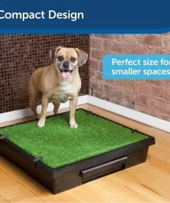 PetSafe Pet Loo Portable Indoor & Outdoor Dog Potty -PetSafe Store 140648 PT3. SY630 V1619794031