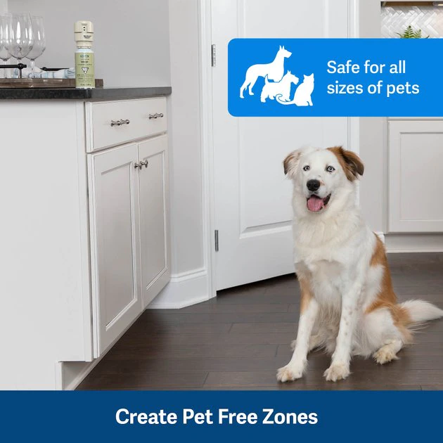 PetSafe SSSCAT Motion-Activated Dog & Cat Spray 2 PetSafe SSSCAT Motion-Activated Dog & Cat Spray - Image 2