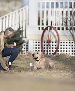 SportDOG Contain + Train System 14 SportDOG Contain + Train System -PetSafe Store 140659 PT4. SY630 V1510778017