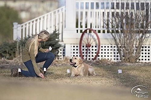 SportDOG Contain + Train System 7 SportDOG Contain + Train System - Image 7