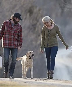 SportDOG Contain + Train System 15 SportDOG Contain + Train System -PetSafe Store 140659 PT5. SY630 V1510778017