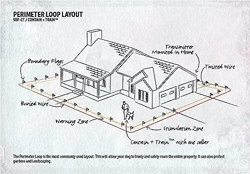 SportDOG Contain + Train System 6 SportDOG Contain + Train System - Image 6