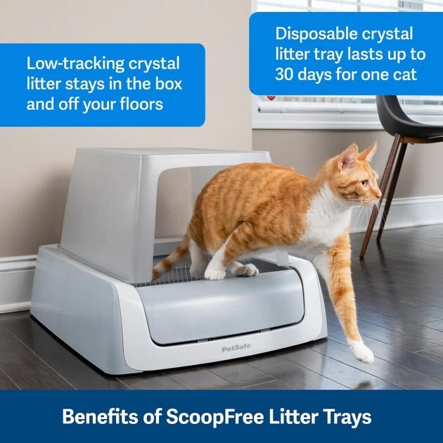 ScoopFree Premium Unscented Non-Clumping Crystal Cat Litter 3 ScoopFree Premium Unscented Non-Clumping Crystal Cat Litter - Image 3