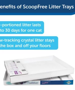 ScoopFree Sensitive Unscented Non-Clumping Crystal Cat Litter -PetSafe Store 141524 PT2. SY630 V1616423519