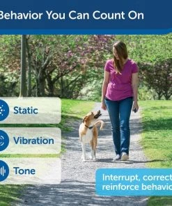 PetSafe Remote Trainer Dog Collar 11 PetSafe Remote Trainer Dog Collar -PetSafe Store 142860 PT2. SY630 V1627004496