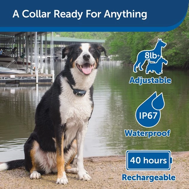 PetSafe Remote Trainer Dog Collar 5 PetSafe Remote Trainer Dog Collar - Image 5