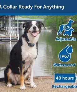 PetSafe Add-A-Dog Waterproof Extra Receiver Collar 10 PetSafe Add-A-Dog Waterproof Extra Receiver Collar -PetSafe Store 142869 PT2. SY630 V1627324874