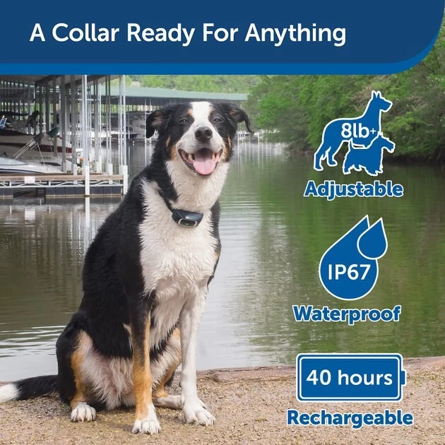 PetSafe Add-A-Dog Waterproof Extra Receiver Collar 3 PetSafe Add-A-Dog Waterproof Extra Receiver Collar - Image 3