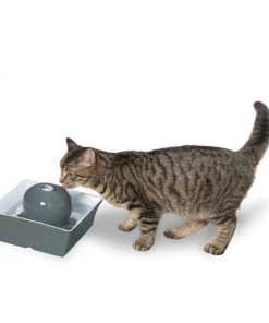 Drinkwell Seascape Ceramic Dog & Cat Fountain 13 Drinkwell Seascape Ceramic Dog & Cat Fountain -PetSafe Store 147502 PT6. SY630 V1608080245