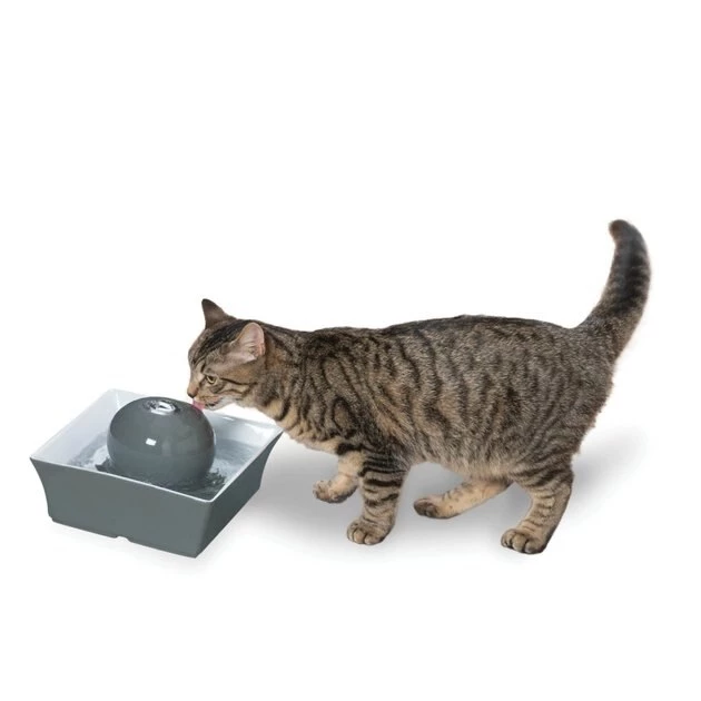Drinkwell Seascape Ceramic Dog & Cat Fountain 7 Drinkwell Seascape Ceramic Dog & Cat Fountain - Image 7