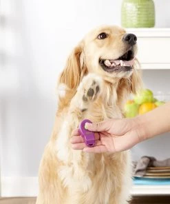 PetSafe Clik-R Dog Training Tool -PetSafe Store 154658 PT2. SY630 V1548194262