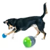 PetSafe Ricochet Interactive Sound Game Dog Toy