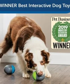 PetSafe Ricochet Interactive Sound Game Dog Toy 11 PetSafe Ricochet Interactive Sound Game Dog Toy -PetSafe Store 159052 PT3. SY630 V1599844580