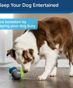 PetSafe Ricochet Interactive Sound Game Dog Toy 12 PetSafe Ricochet Interactive Sound Game Dog Toy -PetSafe Store 159052 PT4. SY630 V1599844574