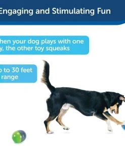PetSafe Ricochet Interactive Sound Game Dog Toy 13 PetSafe Ricochet Interactive Sound Game Dog Toy -PetSafe Store 159052 PT5. SY630 V1599844596