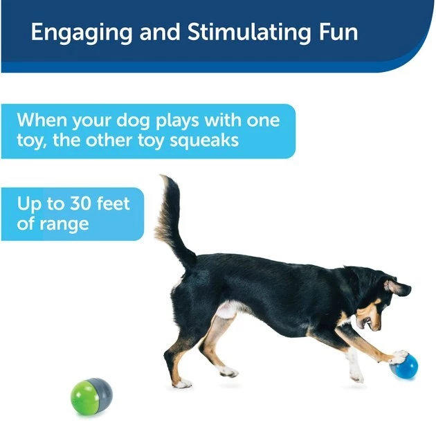 PetSafe Ricochet Interactive Sound Game Dog Toy 6 PetSafe Ricochet Interactive Sound Game Dog Toy - Image 6