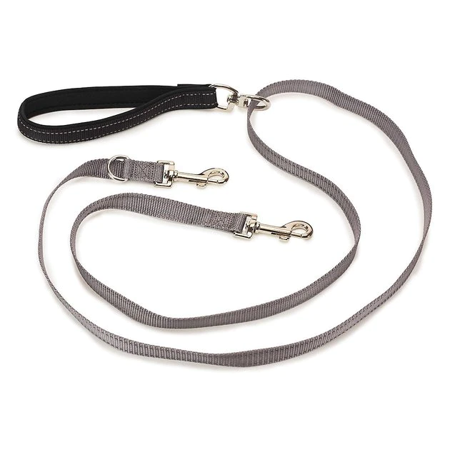 PetSafe Two Point Control Nylon Reflective Dog Leash 1 PetSafe Two Point Control Nylon Reflective Dog Leash