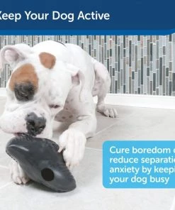 PetSafe Squeak 'n Treat Ninja Star Tough Dog Chew Toy 12 PetSafe Squeak 'n Treat Ninja Star Tough Dog Chew Toy -PetSafe Store 159063 PT4. SY630 V1599844278