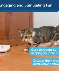 PetSafe Laser Tail Laser Cat Toy -PetSafe Store 159065 PT3. SY630 V1599843959