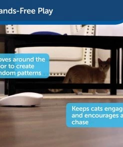 PetSafe Laser Tail Laser Cat Toy -PetSafe Store 159065 PT4. SY630 V1599844255