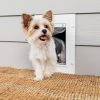 PetSafe White Wall Entry Plastic Pet Door