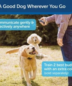PetSafe Rechargable Remote Spray Dog Training Collar with Disposable Spray Cartridges -PetSafe Store 159094 PT2. SY630 V1614894385