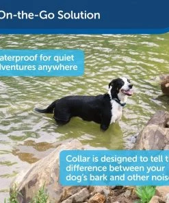 PetSafe Waterproof Basic Static Dog Bark Collar 8 PetSafe Waterproof Basic Static Dog Bark Collar -PetSafe Store 159096 PT2. SY630 V1619794384
