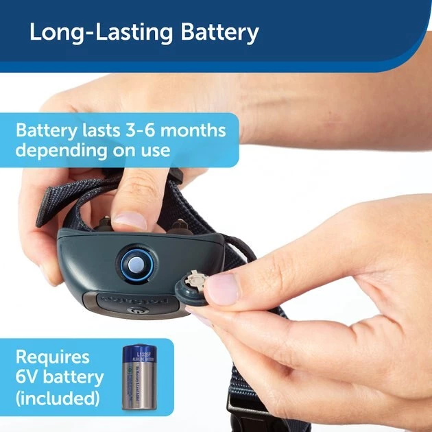 PetSafe Waterproof Basic Static Dog Bark Collar 5 PetSafe Waterproof Basic Static Dog Bark Collar - Image 5