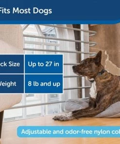 PetSafe Waterproof Basic Static Dog Bark Collar 11 PetSafe Waterproof Basic Static Dog Bark Collar -PetSafe Store 159096 PT5. SY630 V1626790916