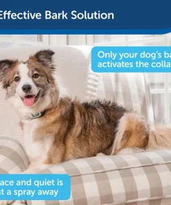 PetSafe Water Resistant Rechargeable Spray Dog Bark Collar with Disposable Spray Cartridges 11 PetSafe Water Resistant Rechargeable Spray Dog Bark Collar with Disposable Spray Cartridges -PetSafe Store 159098 PT2. SY630 V1619794369