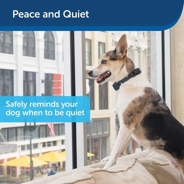 PetSafe Lite Waterproof Rechargeable Static Dog Bark Collar 2 PetSafe Lite Waterproof Rechargeable Static Dog Bark Collar - Image 2