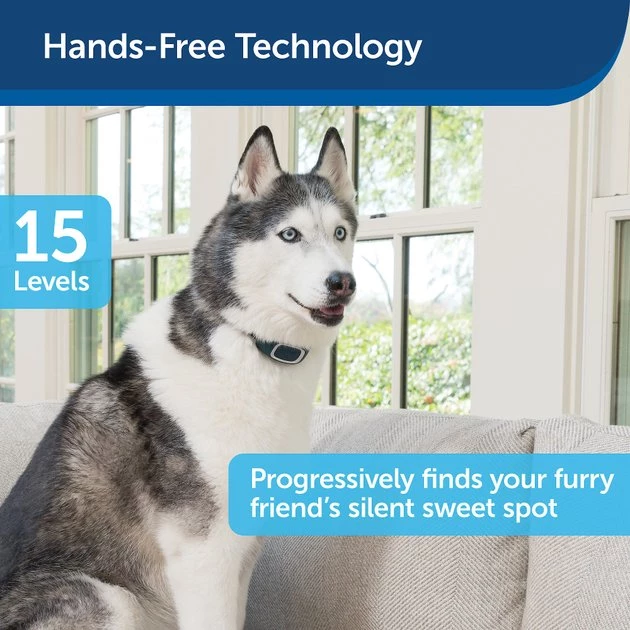 PetSafe Lite Waterproof Rechargeable Static Dog Bark Collar 3 PetSafe Lite Waterproof Rechargeable Static Dog Bark Collar - Image 3