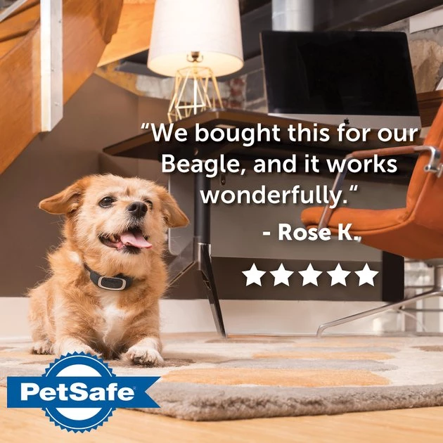 PetSafe Lite Waterproof Rechargeable Static Dog Bark Collar 7 PetSafe Lite Waterproof Rechargeable Static Dog Bark Collar - Image 7